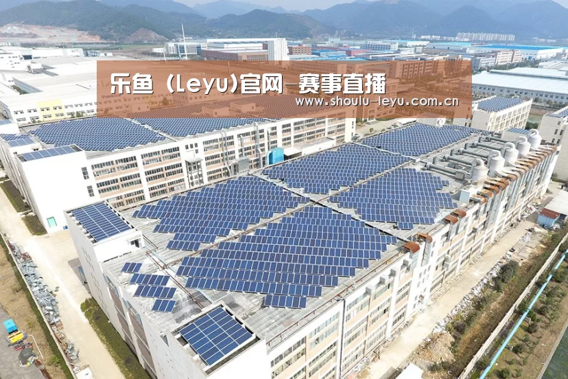 案例展示一