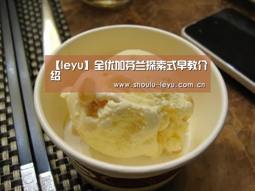 【leyu】全优加芬兰探索式早教介绍(图3)