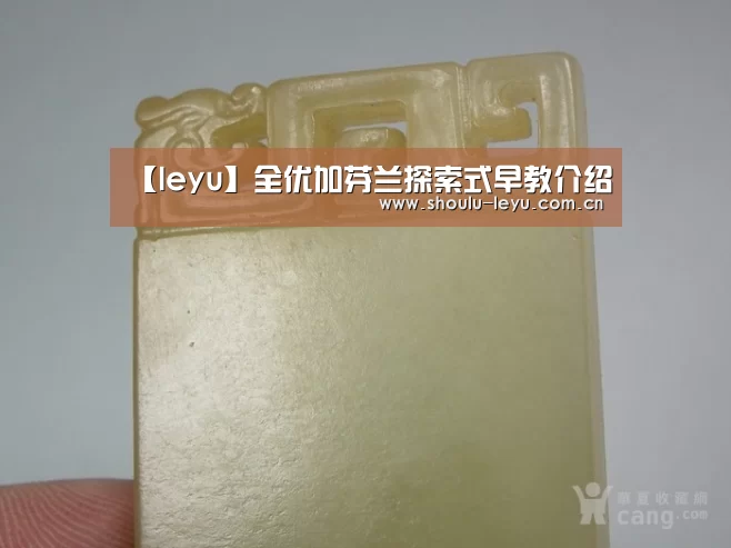 乐鱼体育