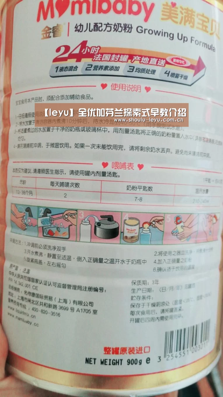 【leyu】全优加芬兰探索式早教介绍(图2)