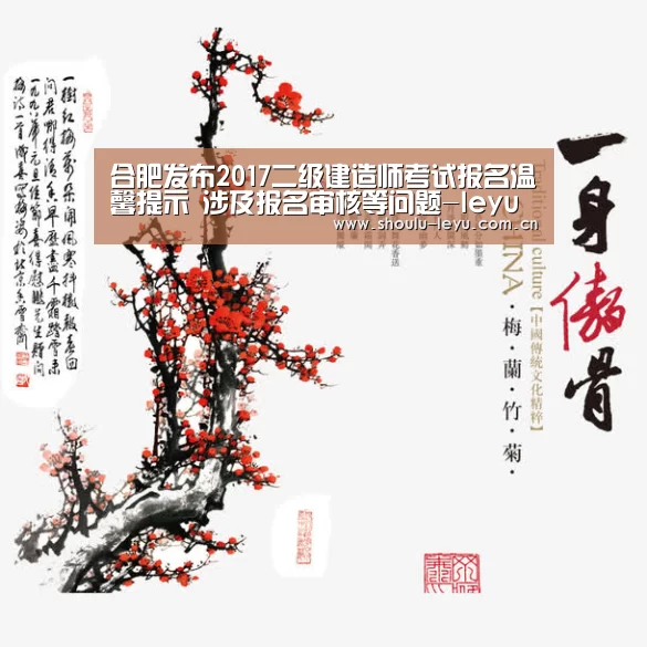 合肥发布2017二级建造师考试报名温馨提示 涉及报名审核等问题-leyu(图2) 乐鱼官网