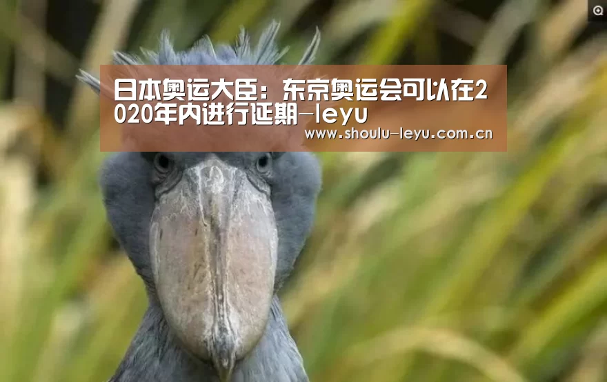日本奥运大臣：东京奥运会可以在2020年内进行延期-leyu(图1)
